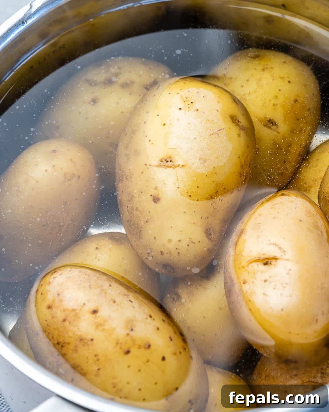 Simple Zesty Mustard Potato Salad 5 Whole, unpeeled baby new potatoes submerged in cold water within a large pot, ready for cooking.