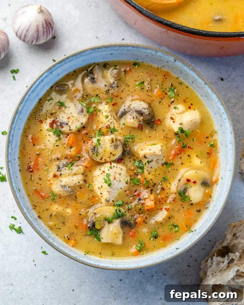 Silky Chicken Mushroom Bliss 2 top view chicken soup in white rustic bowl