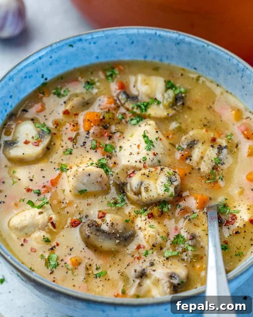 Silky Chicken Mushroom Bliss 7 side shot of a bowl of chicken soup with spoon in it