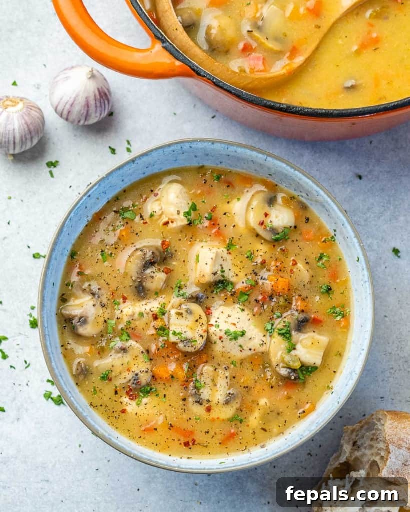Silky Chicken Mushroom Bliss 8 top view chicken mushroom soup