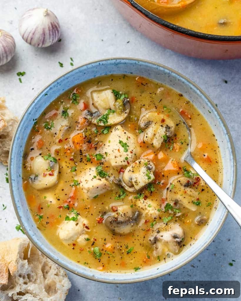 Silky Chicken Mushroom Bliss 9 top view chicken soup in a blue bowl with spoon in it
