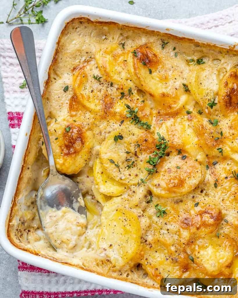 Effortless Cheesy Potato Gratin 9 Top view of a white baking dish filled with golden-brown baked potato au gratin.