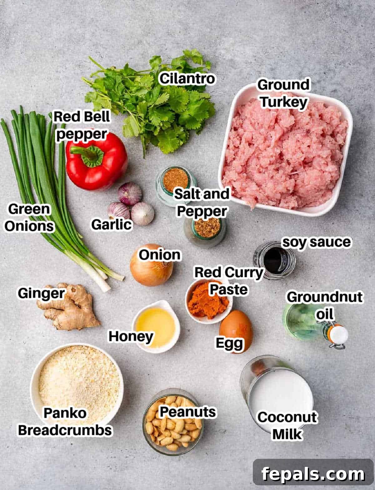ingredients to make turkey meatballs in curry sauce.