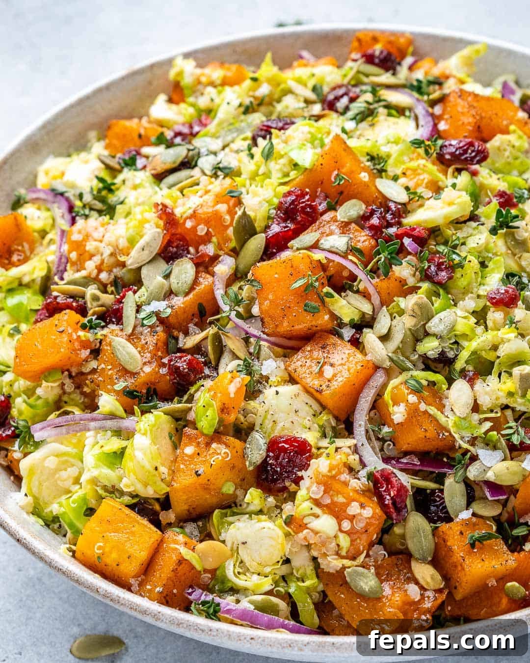Roasted Butternut Harvest Salad 8 Angled view of a rustic white bowl overflowing with the delicious butternut squash salad, highlighting its rich textures.