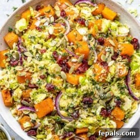 top view winter salad in a white plate