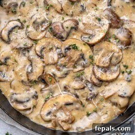 top view creamy mushroom in black skillet