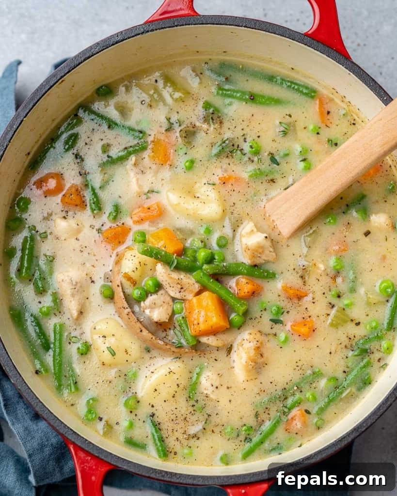 Top view of a hearty chicken and gnocchi soup served in a red pot, garnished with fresh herbs.