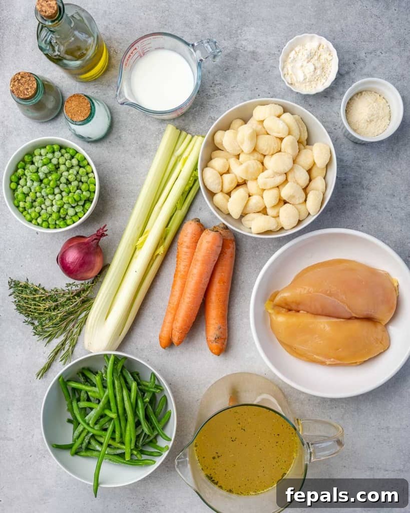 Overhead shot showcasing a vibrant collection of fresh ingredients laid out for making chicken gnocchi soup: chicken breast, fresh vegetables, herbs, gnocchi, and spices.