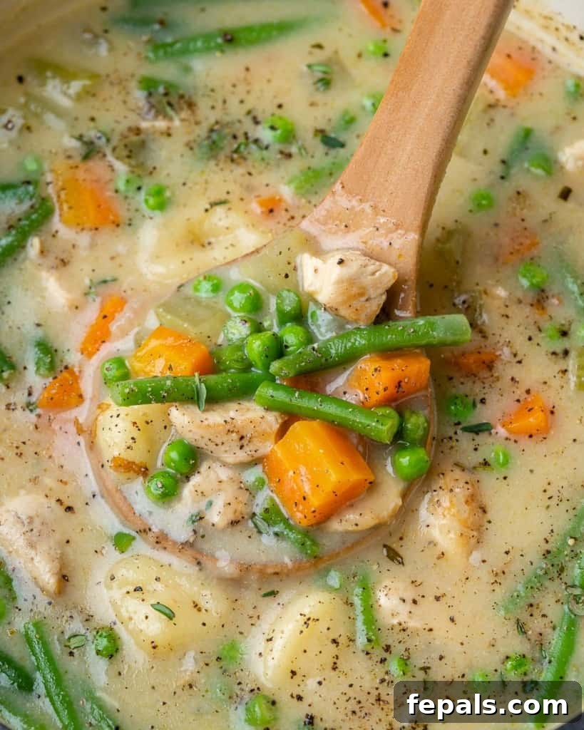 A wooden spoon lifting a generous scoop of chicken and gnocchi soup, showing tender chicken, pillowy gnocchi, and colorful vegetables.