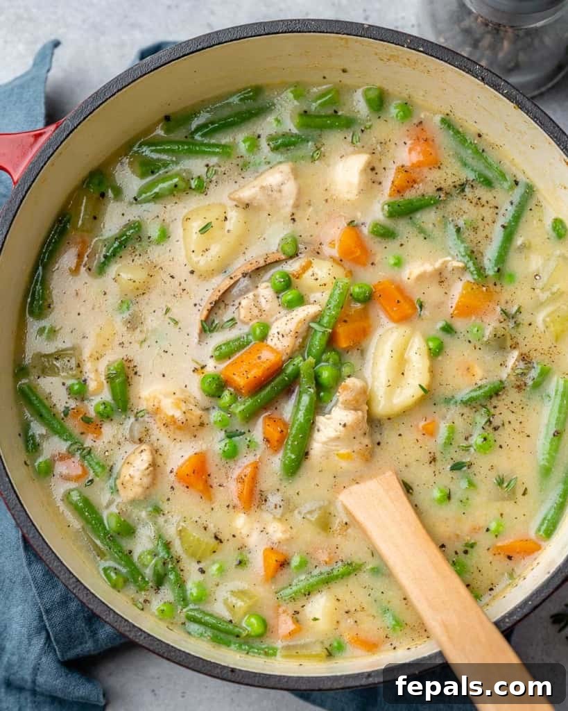 Top down view of a vibrant red Dutch oven filled with steaming chicken and gnocchi soup, ready to be served.