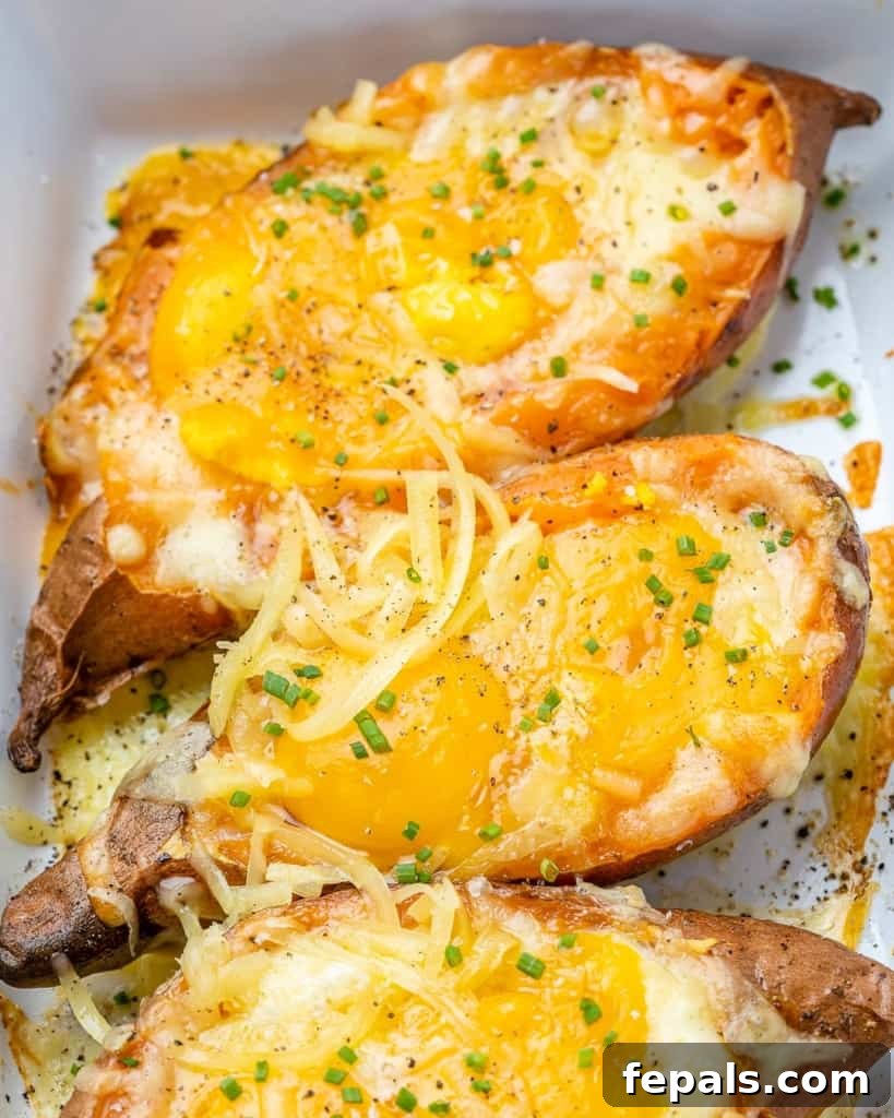 Sweet Potato Sunrise 8 Three baked sweet potatoes in a white baking dish topped with melted cheese