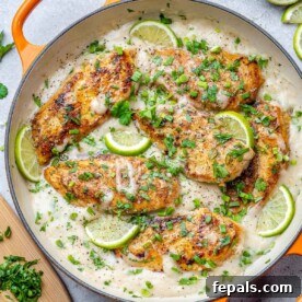 Tropical Coconut Chicken Feast 12 top view of creamy coconut chicken