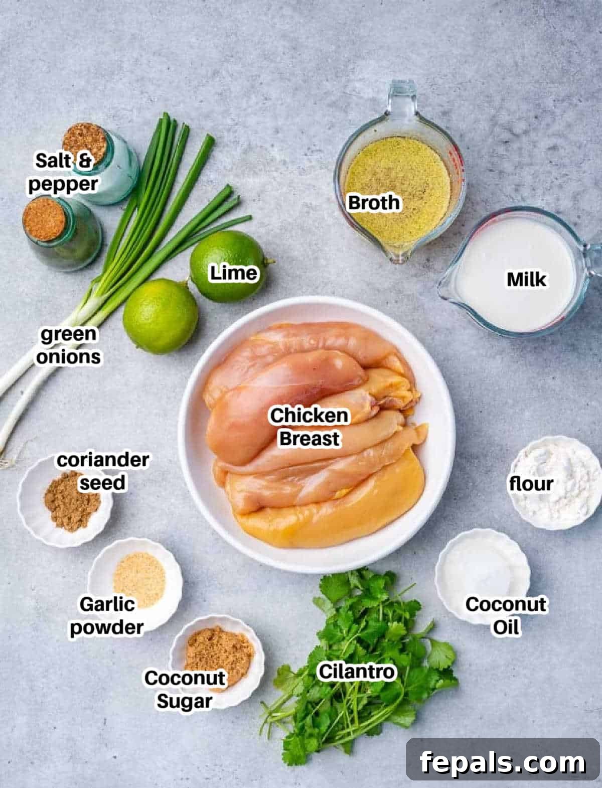 Tropical Coconut Chicken Feast 4 ingredients to make creamy chicken with cilantro.