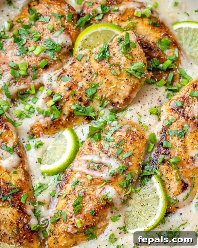 Tropical Coconut Chicken Feast 7 close up creamy coconut chicken