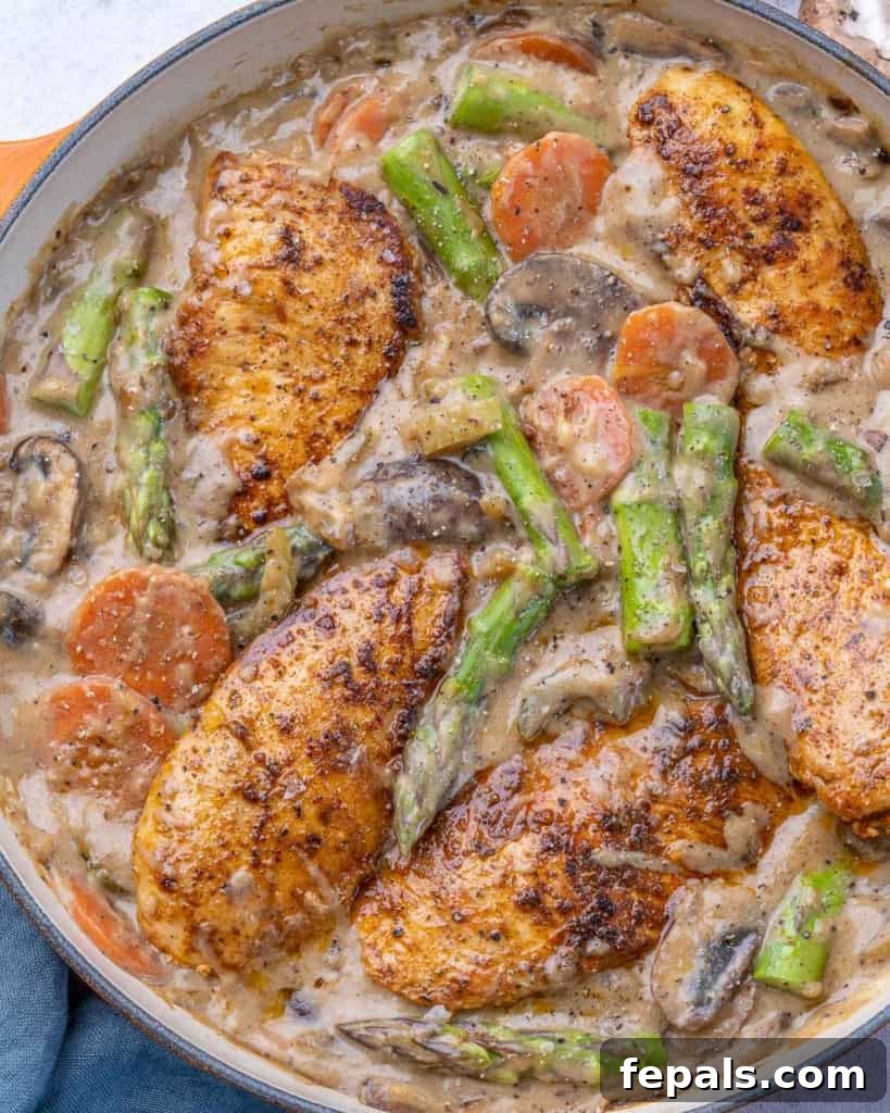 Velvet Chicken Supper 8 A large skillet filled with creamy chicken fricassee, featuring tender chicken, mushrooms, and asparagus, ready to be served.