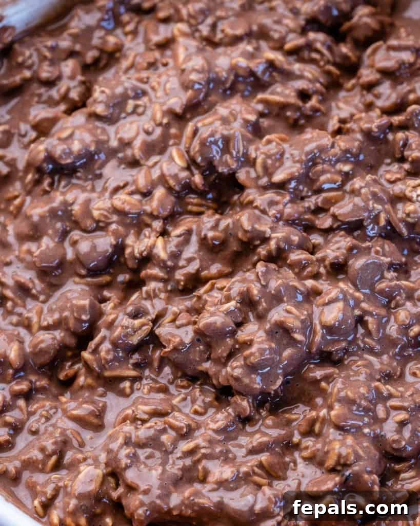 Sweet Dreams Chocolate Oats 7 Close view of chocolate oats mixture