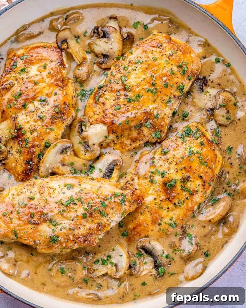 Overhead view of a creamy balsamic chicken skillet with sliced mushrooms and fresh herbs, ready to serve.