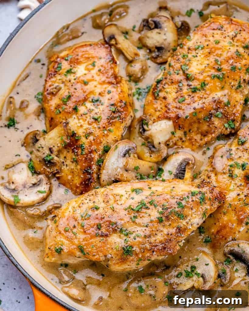 A close-up of tender chicken pieces coated in a rich balsamic sauce with sautéed mushrooms.