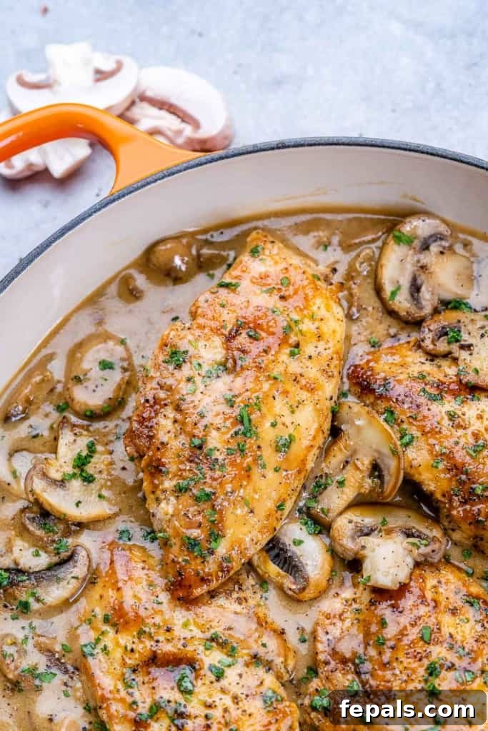 A close-up view of the creamy balsamic chicken skillet, showcasing the rich sauce, tender chicken, and plentiful mushrooms.