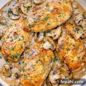 Top and close-up view of creamy balsamic chicken and mushroom in a yellow skillet