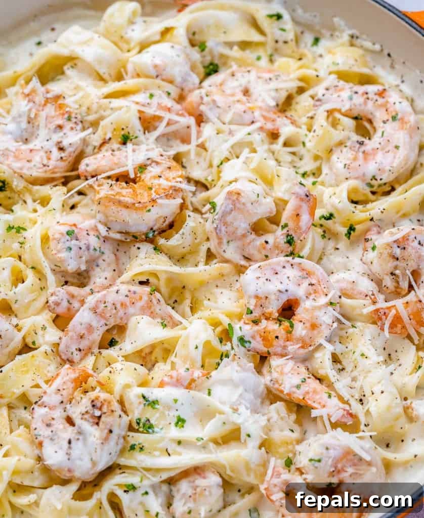 close up shrimp alfredo