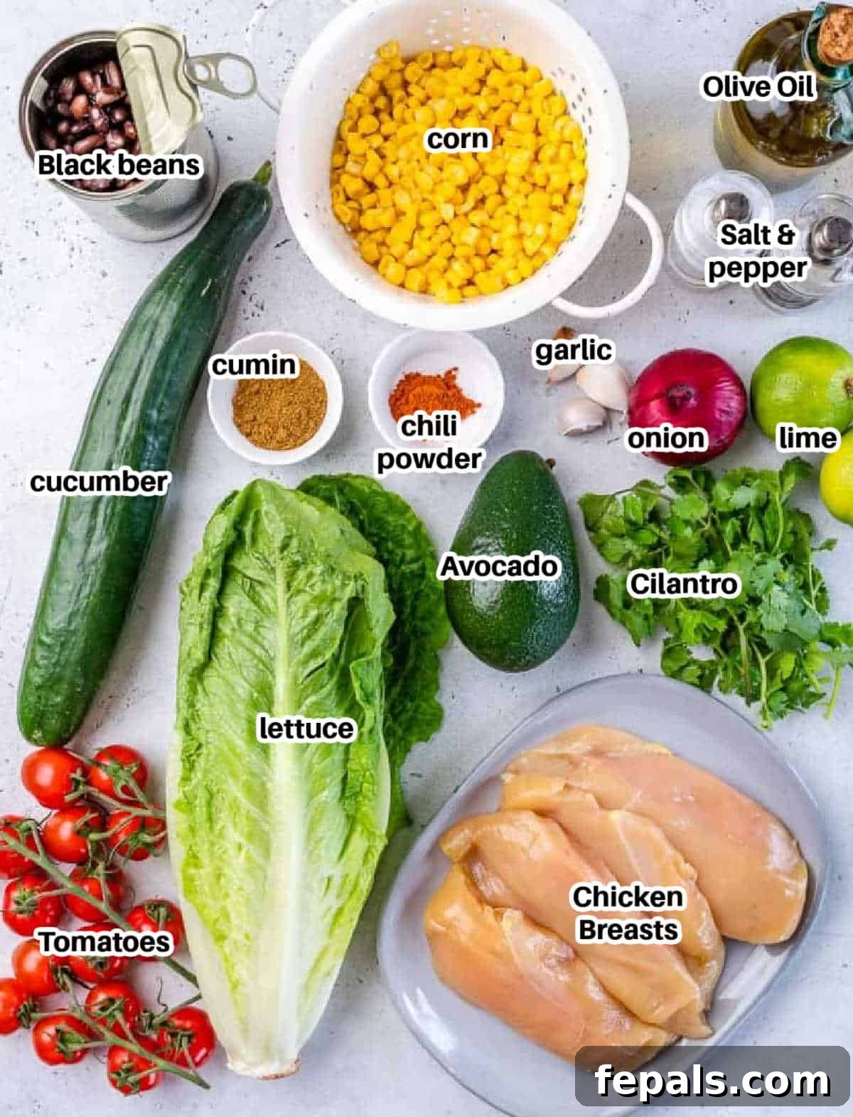 Zesty Fiesta Chicken Salad 3 Fresh ingredients laid out for Southwest Chicken Salad: chicken, spices, lime, olive oil, cilantro, romaine lettuce, cherry tomatoes, black beans, corn, red onion, and avocado.
