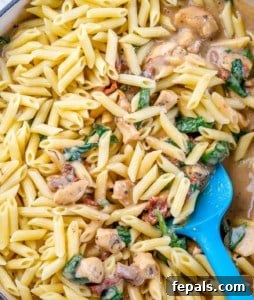 cooked pasta added to the creamy chicken sauce mix.