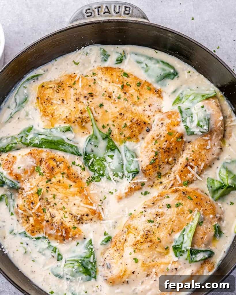 Gourmet Chicken Florentine Made Easy 2 top view of chicken in skillet with creamy sauce