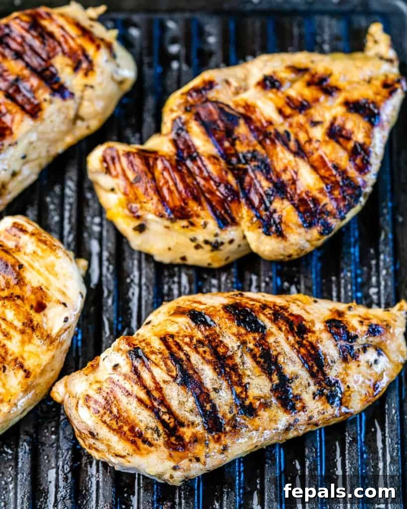Mediterranean Grilled Chicken Power Bowl 5 Grilled chicken