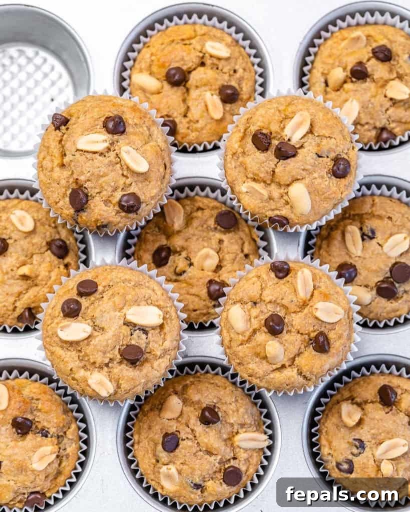 top view of peanut butter muffins on pan 