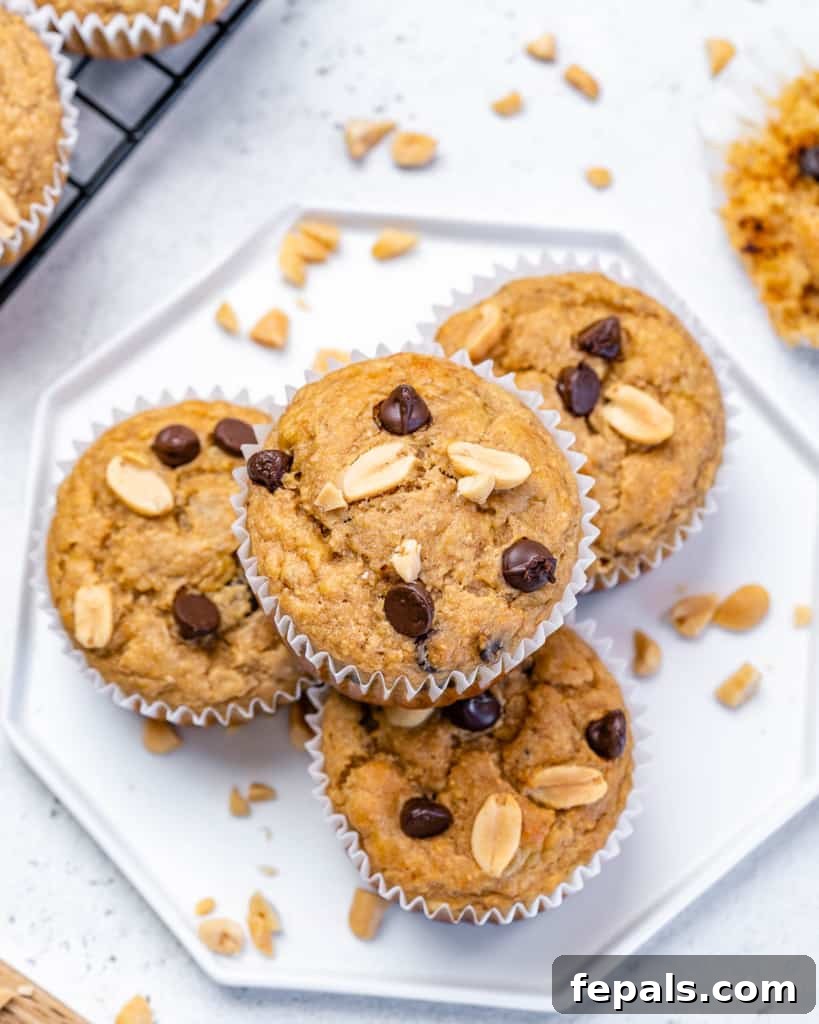 top view muffins on a plate 