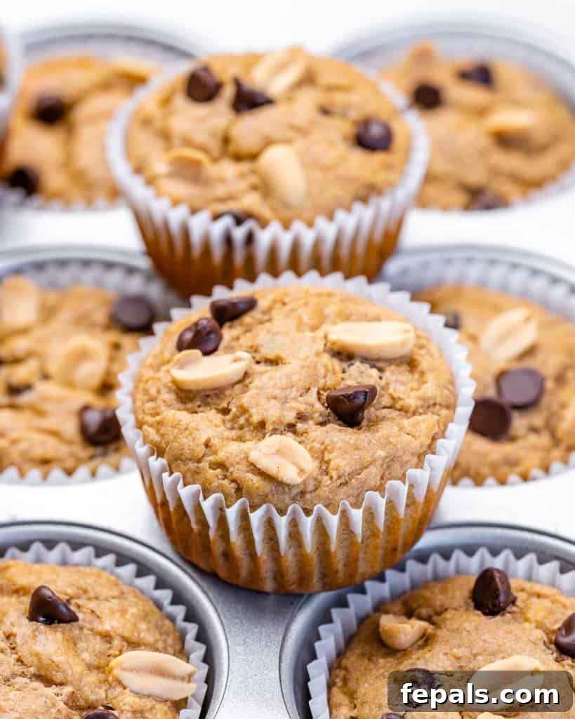 baked muffins line on pan