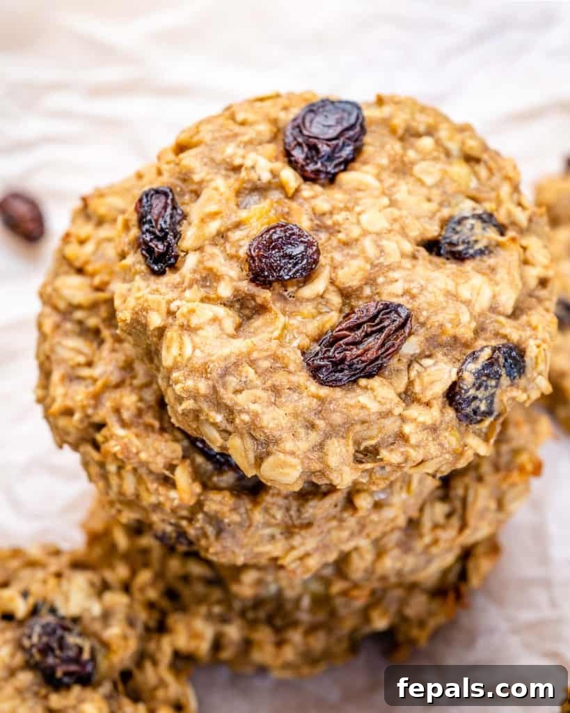 Chewy Raisin Oat Delights 2 Top view of soft and chewy oatmeal raisin cookies, highlighting their texture and the visible raisins.