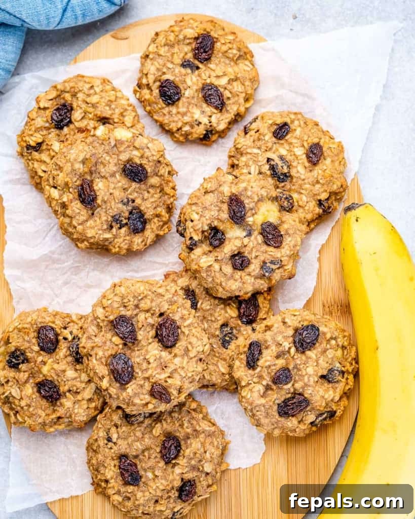 Chewy Raisin Oat Delights 10 A baking sheet filled with warm oatmeal raisin cookies, with a ripe banana positioned next to it, suggesting the natural ingredients.
