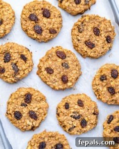 Chewy Raisin Oat Delights 15 Freshly baked oatmeal cookies on a sheet pan.