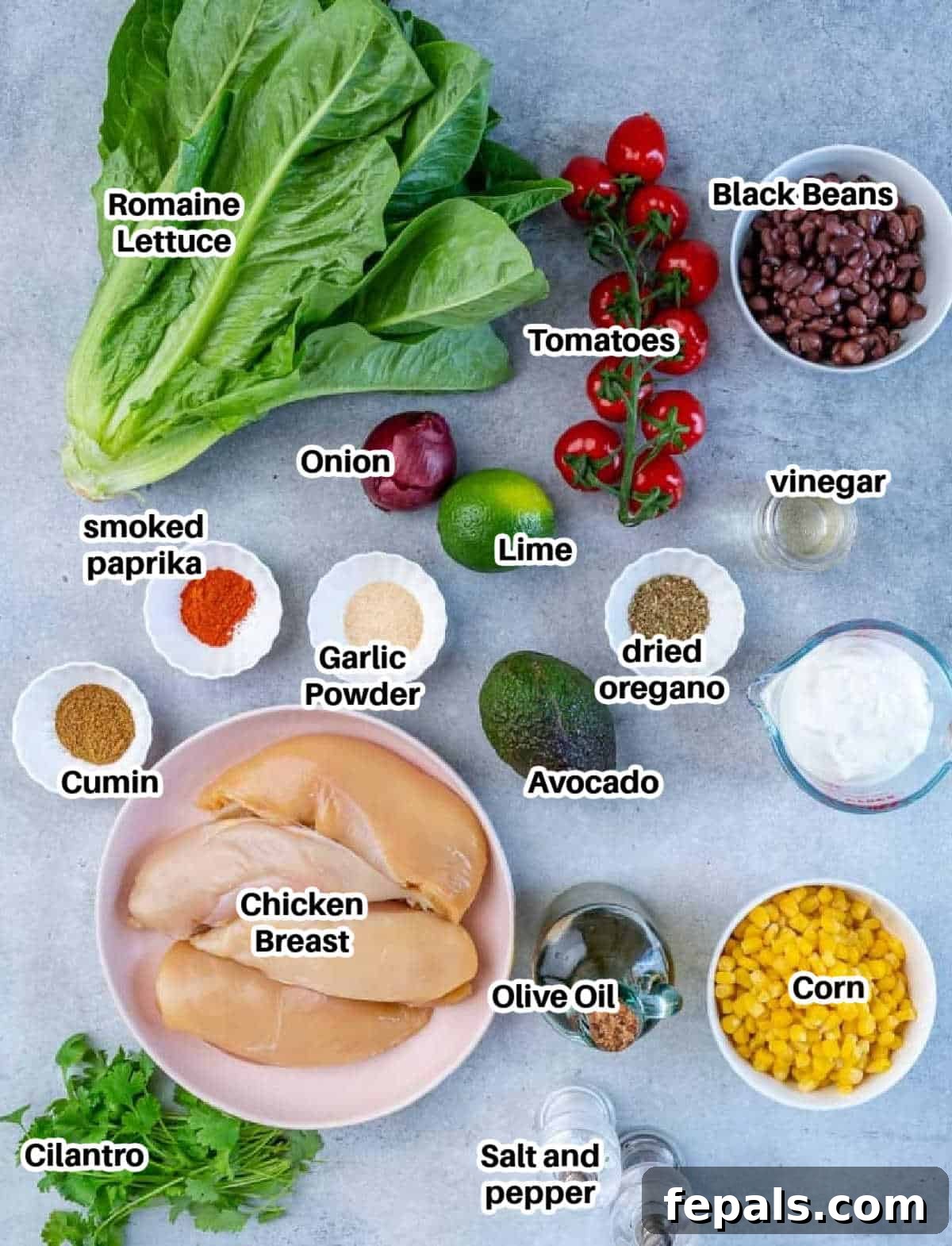 Fiesta Grilled Chicken Salad 3 A flat lay image displaying all the fresh ingredients needed to make grilled Mexican chicken salad, including chicken breasts, avocados, limes, cilantro, vegetables, and spices.