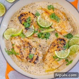 Smoky Chipotle Chicken Skillet 11 one pan of chipotle chicken with limes and cilantro