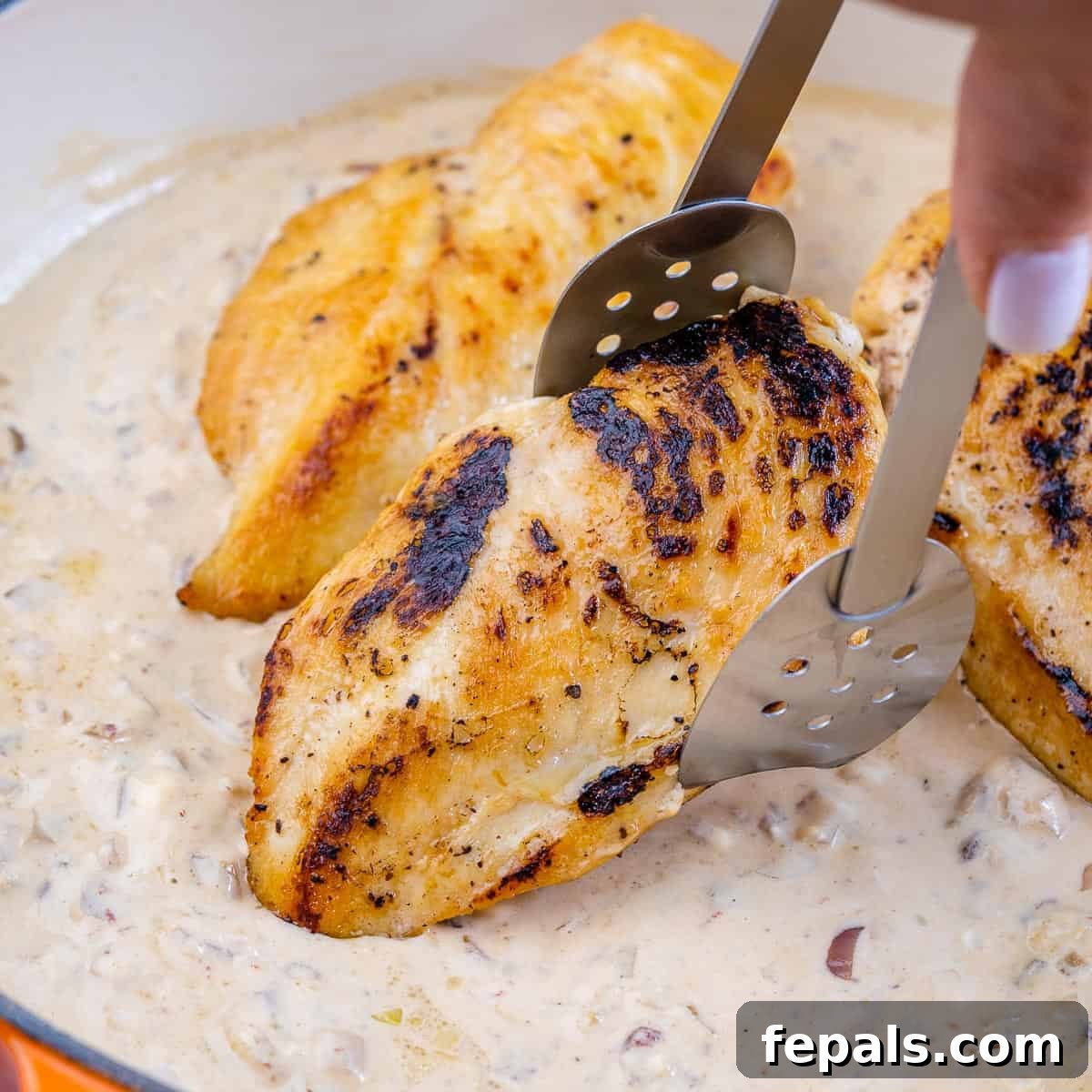 Smoky Chipotle Chicken Skillet 6 Tongs placing a seared chicken breast into a hot skillet, demonstrating the cooking process.