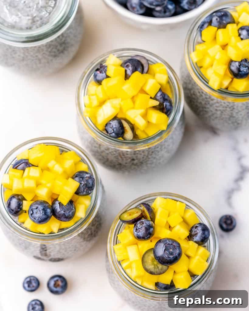 Creamy Chia Pudding Perfection 9 top view chia pudding jars with chopped mangos and blueberries