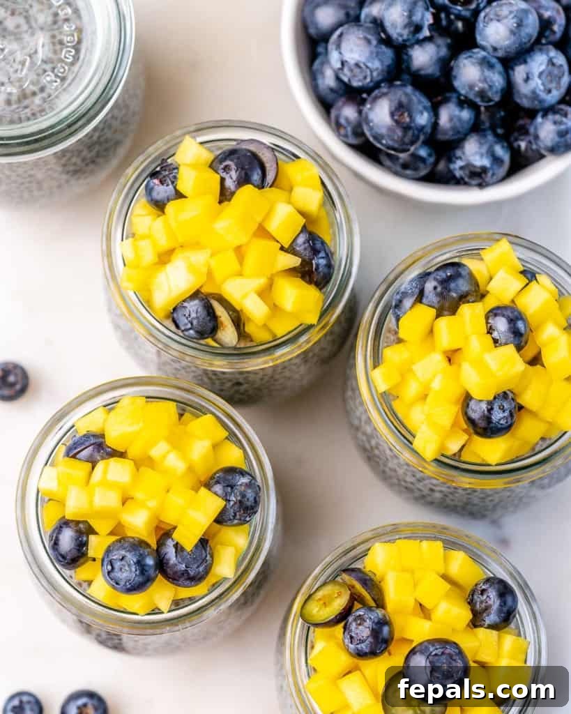 Creamy Chia Pudding Perfection 3 top view chia pudding in jars topped with chopped mango and blueberry