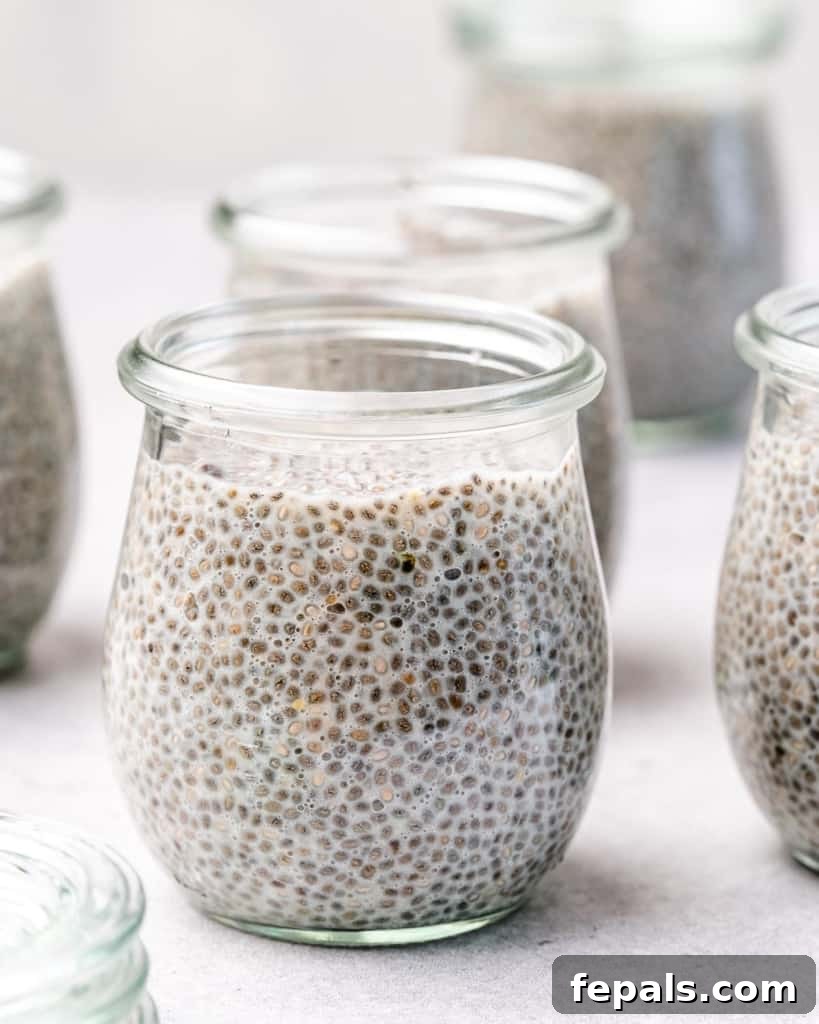 Creamy Chia Pudding Perfection 6 chia see pudding added in jars