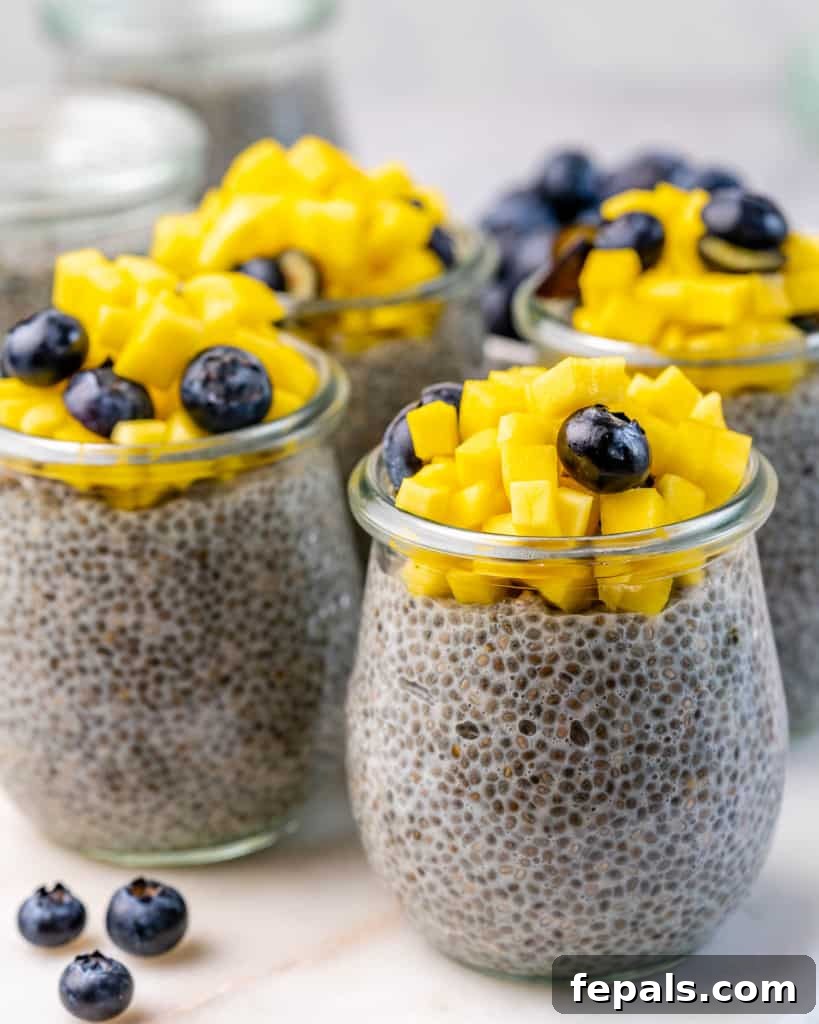 Creamy Chia Pudding Perfection 7 side shot of chia pudding in jars, topped with fruits.