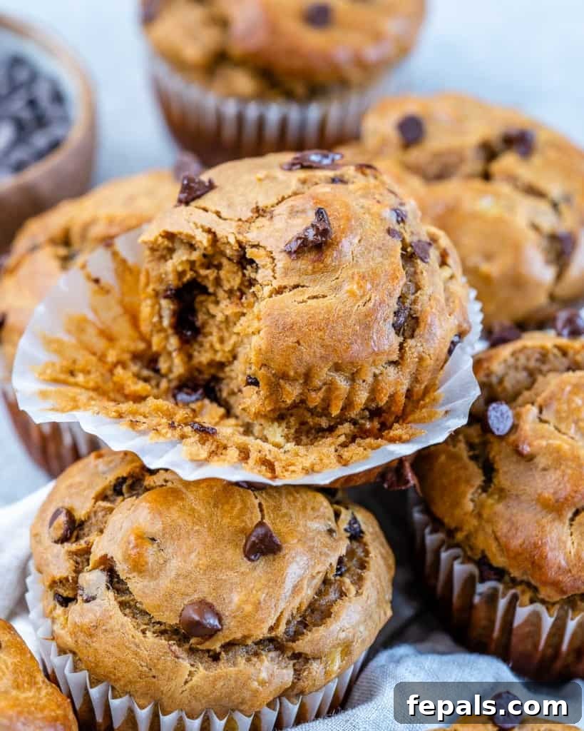 Wholesome Flourless Peanut Butter Banana Muffins 3 A side shot of freshly baked, golden-brown banana muffins, some stacked on top of each other, with one muffin showing a delightful bite taken out of it, revealing its moist interior and chocolate chips.