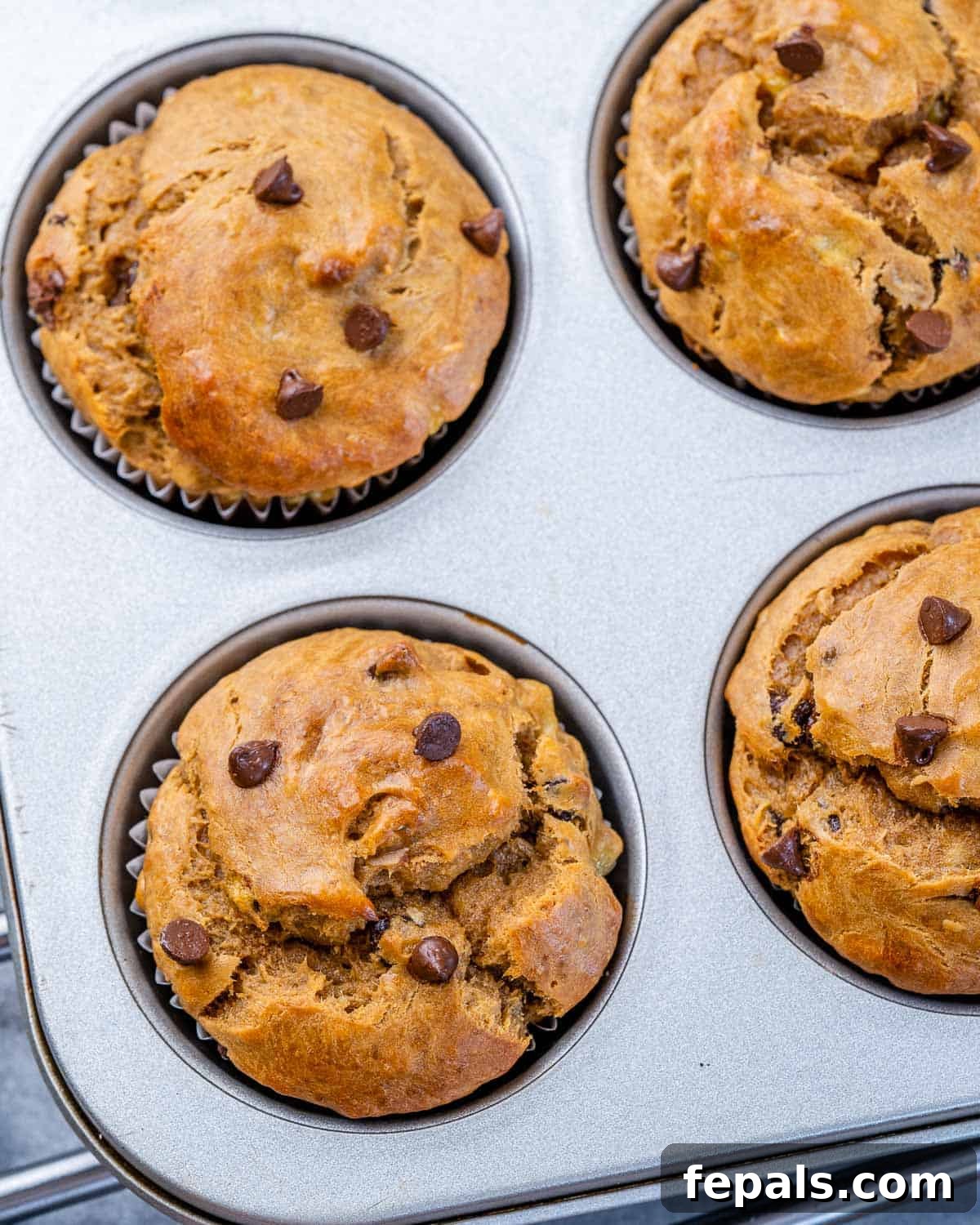 Wholesome Flourless Peanut Butter Banana Muffins 7 A close-up of four perfectly baked, golden-brown banana muffins in a muffin pan, each topped with melted chocolate chips, indicating they are fresh out of the oven.