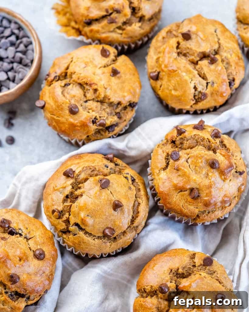 Wholesome Flourless Peanut Butter Banana Muffins 9 A vibrant top-down shot of flourless chocolate chip banana muffins artfully arranged on a sleek gray flat surface, highlighting their rich color and inviting texture.