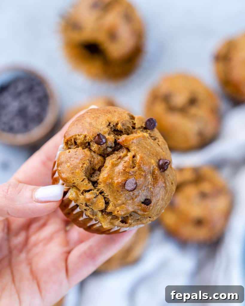 Wholesome Flourless Peanut Butter Banana Muffins 10 A hand gently holding a single, perfectly baked flourless peanut butter banana muffin, showcasing its golden-brown exterior and delicious chocolate chips.