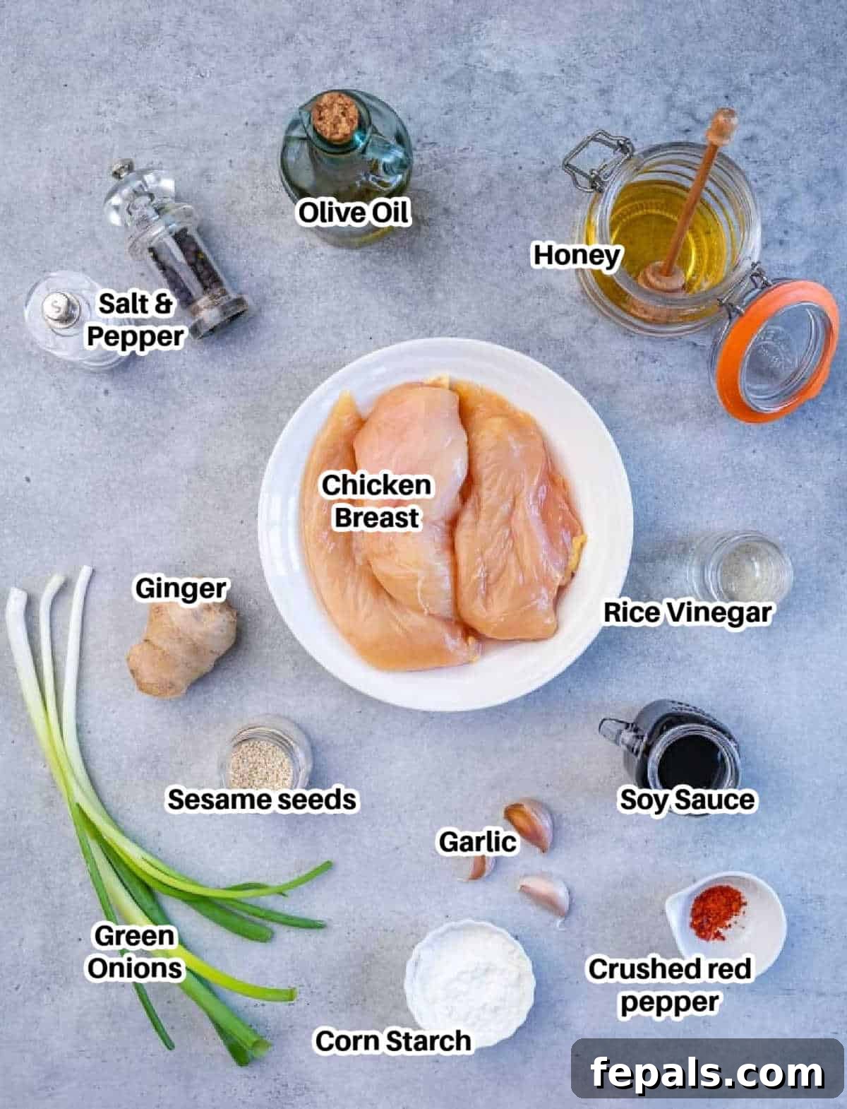 A vibrant flat lay of all the fresh ingredients required to make delicious teriyaki chicken, including chicken breasts, ginger, garlic, soy sauce, and honey.