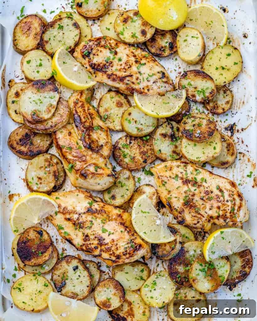 top view baked chicken breasts and potatoes on a sheet pan, garnished with fresh parsley and lemon wedges