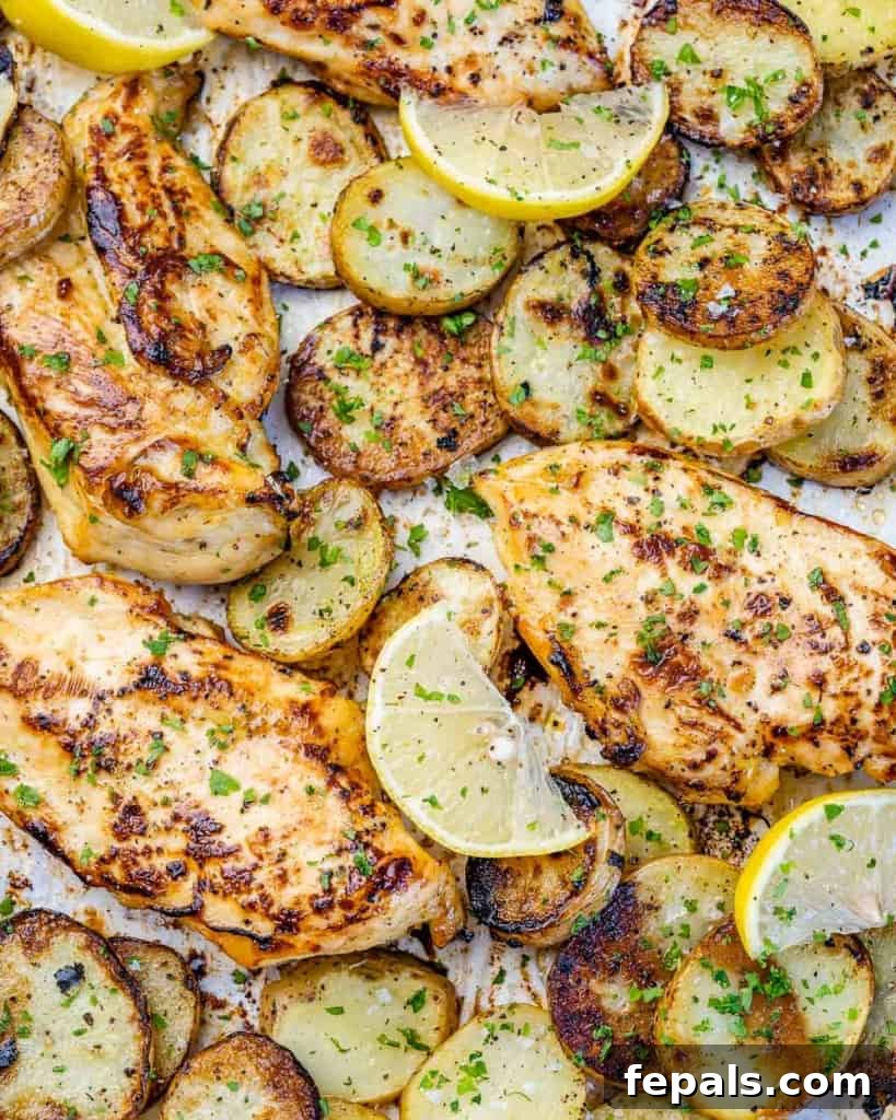 close up view of baked chicken breast with sliced baby potatoes on a sheet pan, showing the golden brown edges
