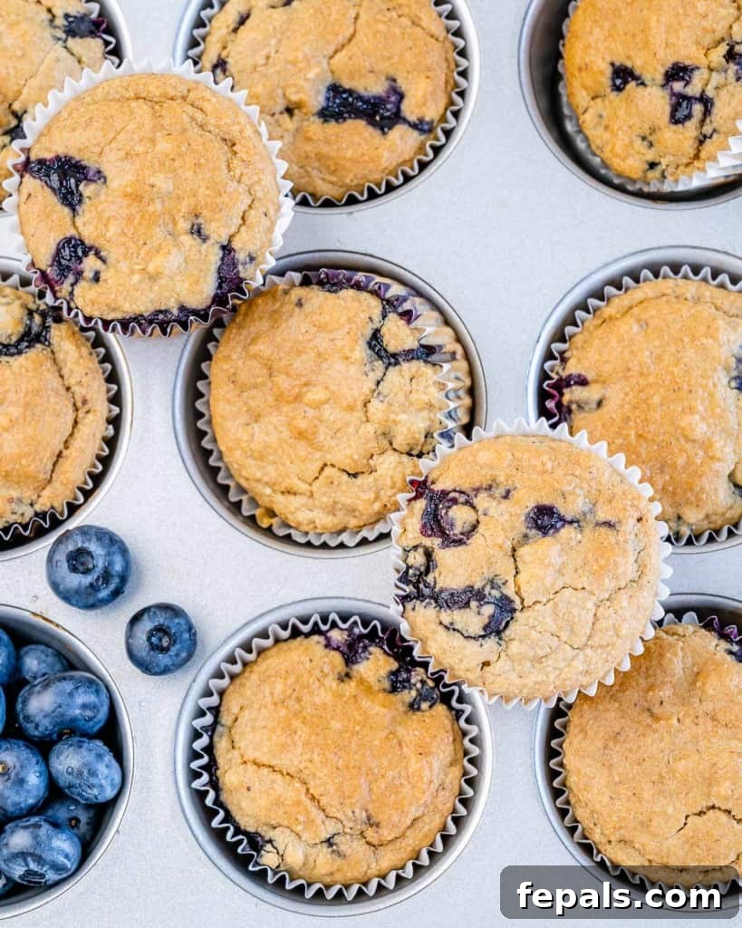 Top view of baked blueberry muffins resting in a baking tin, fresh from the oven.